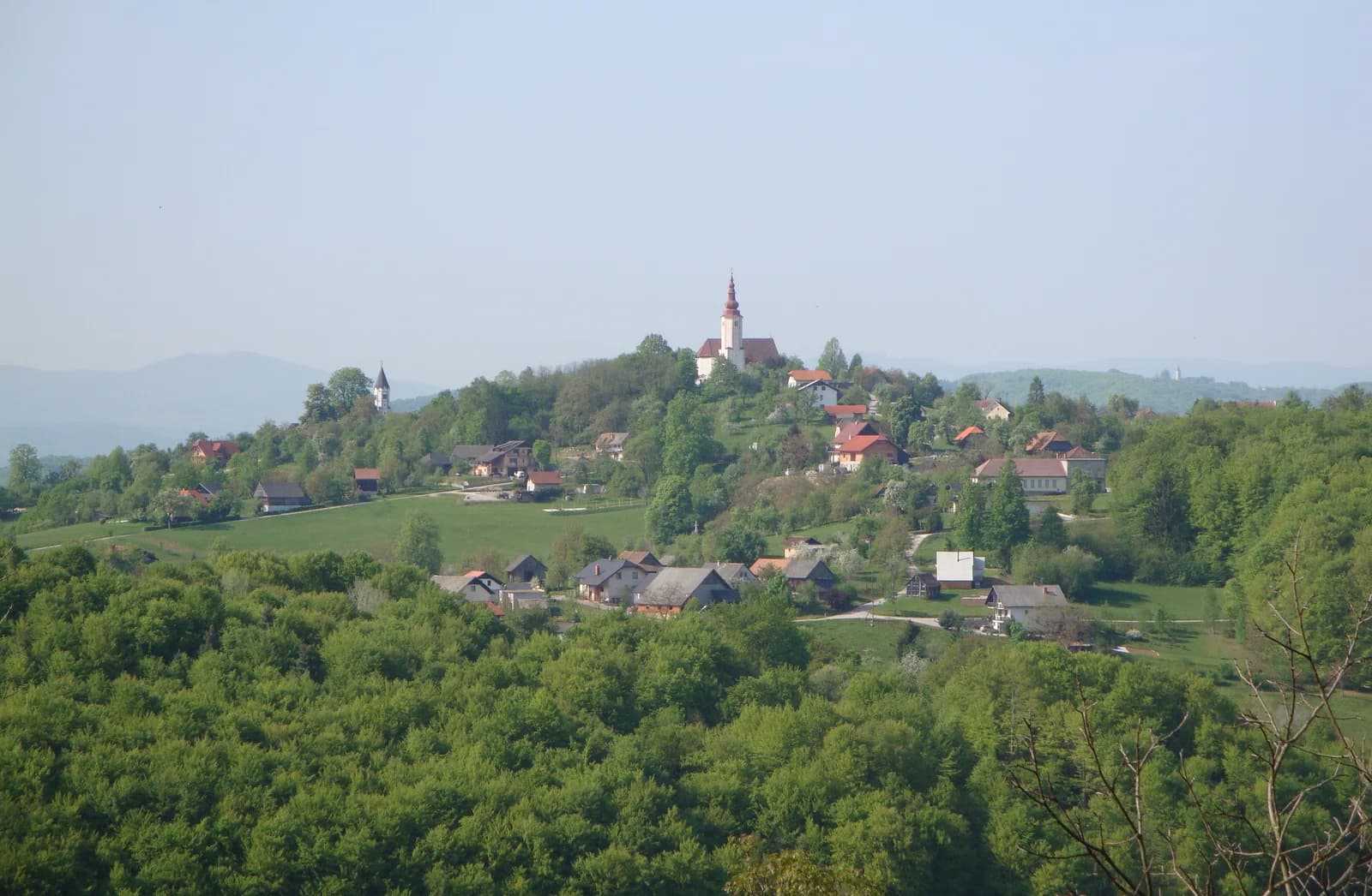 Bučka