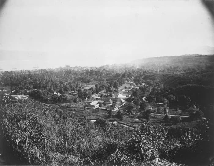 Amboina
