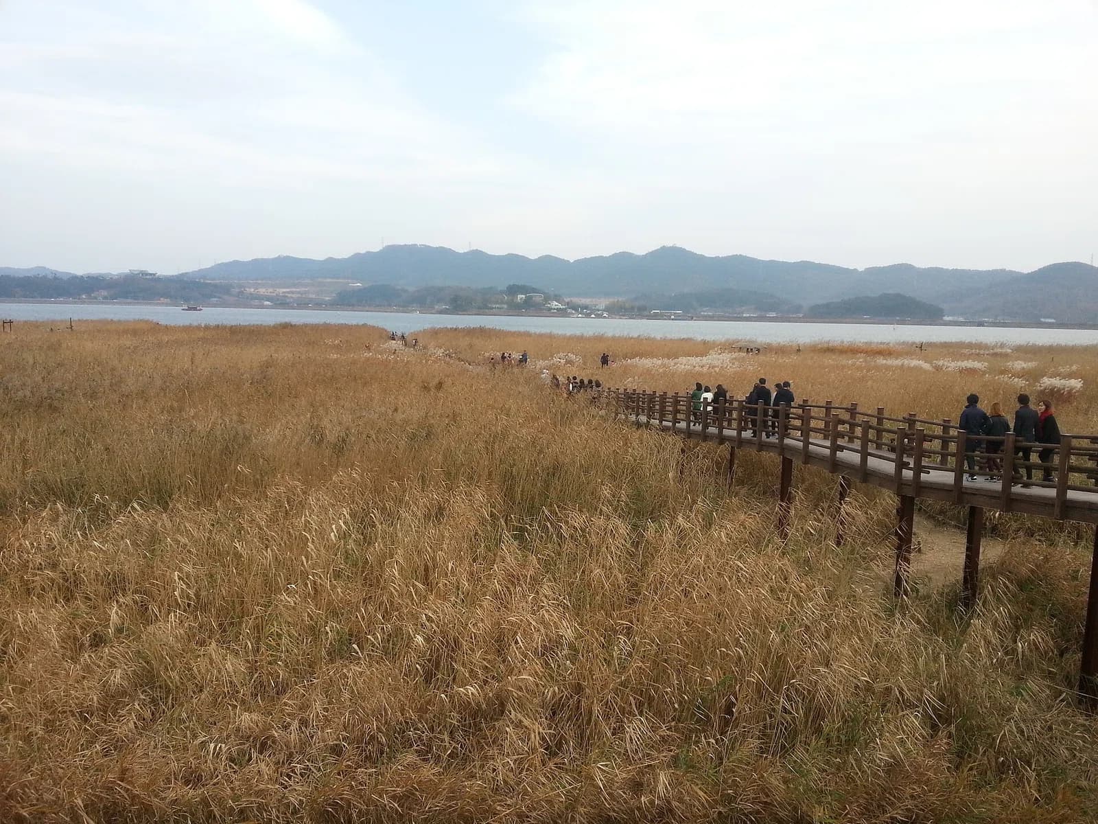 Seocheon County