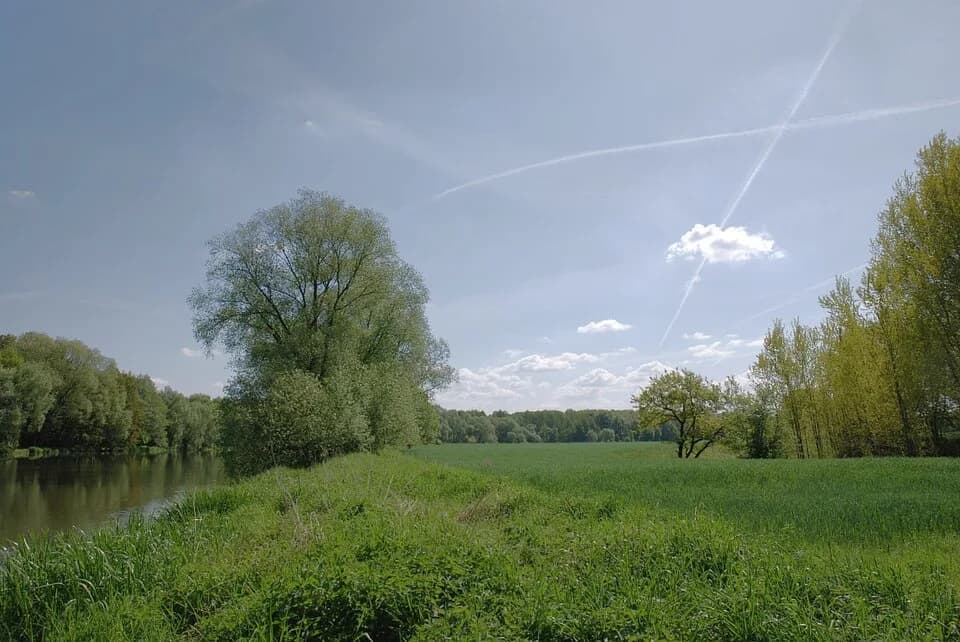 Krauschwitz