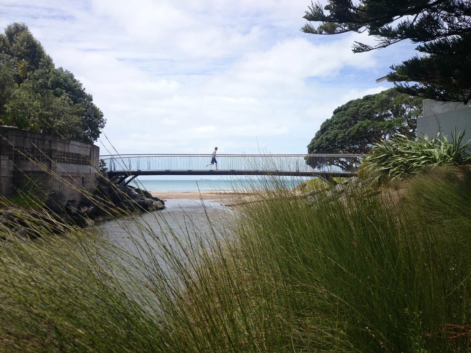 Campbells Bay