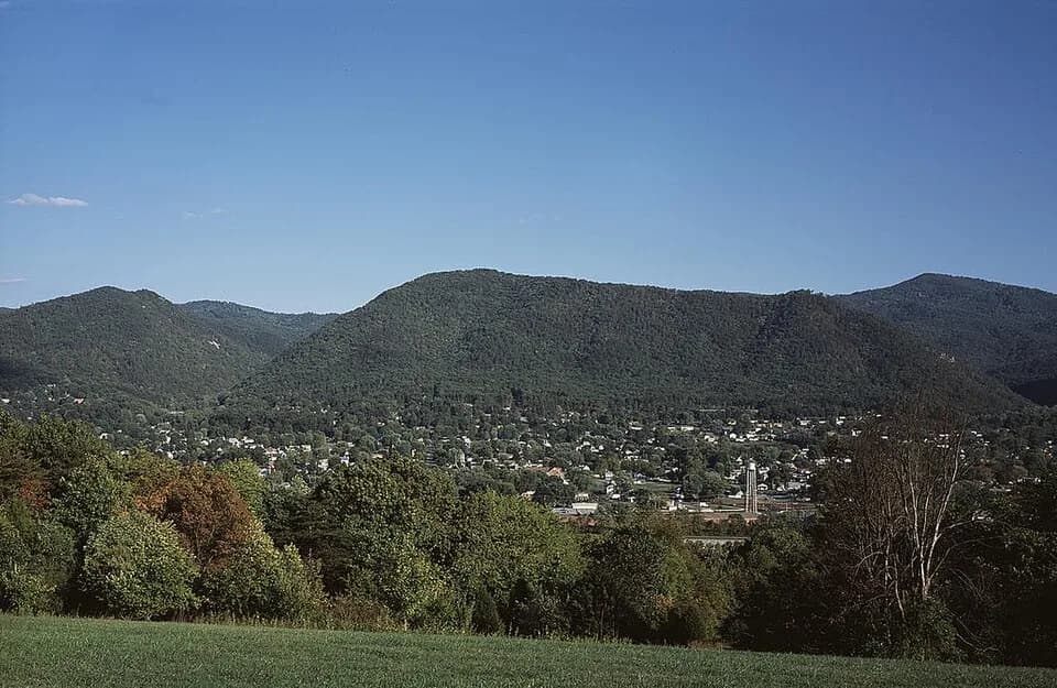 Buena Vista