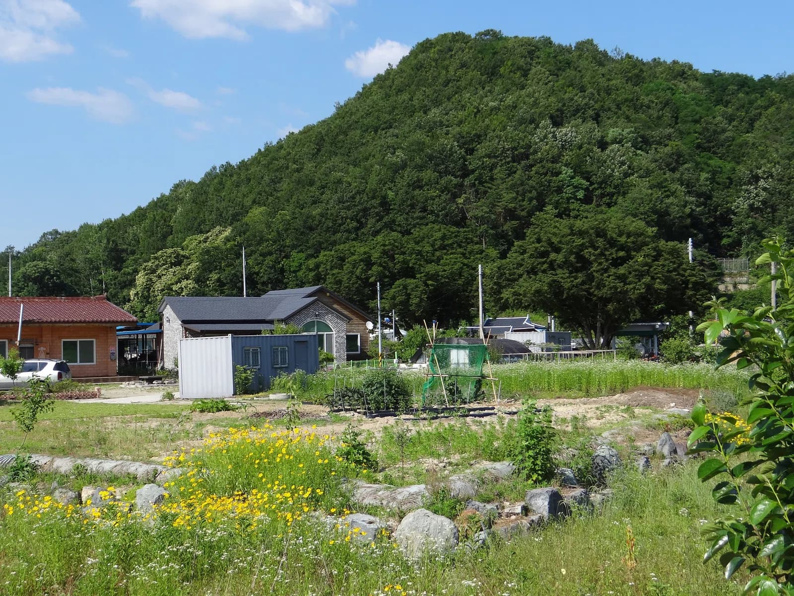 Wanju County