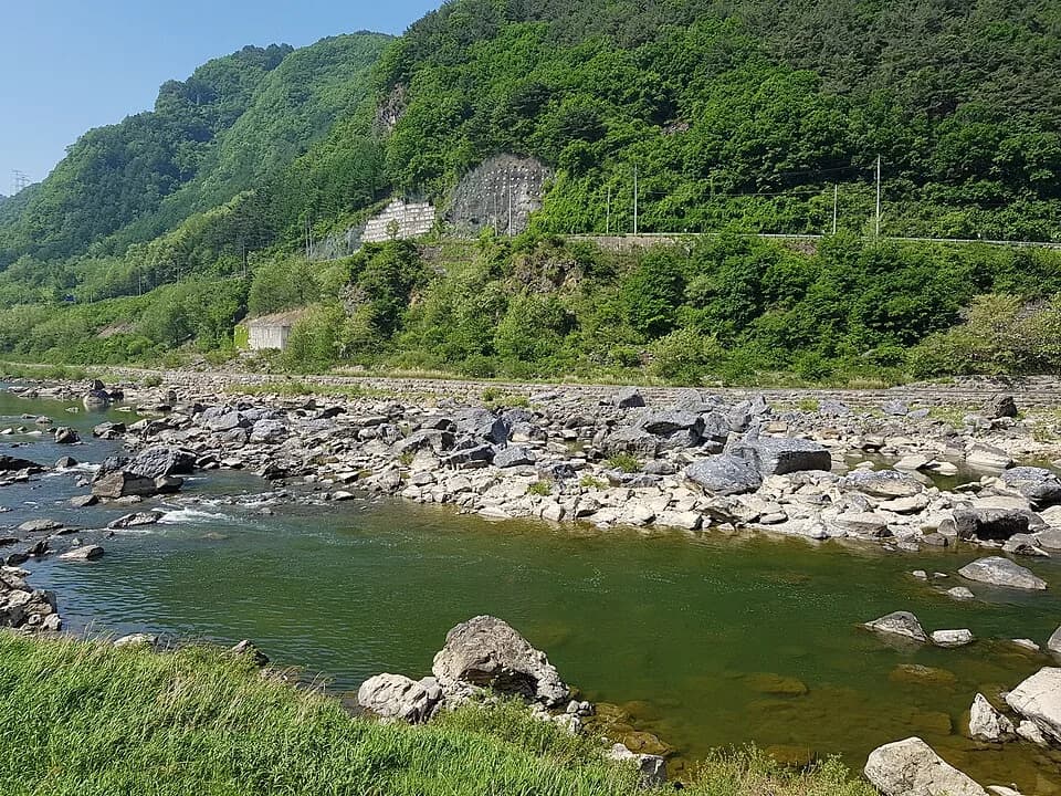 Jeongseon