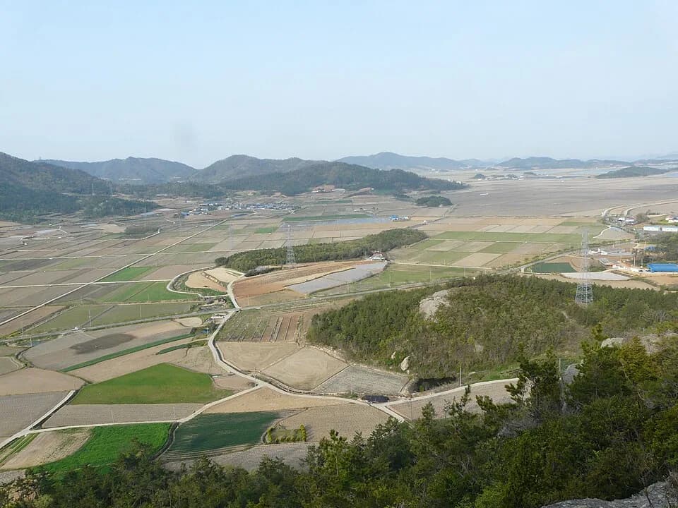 Jindo-gun
