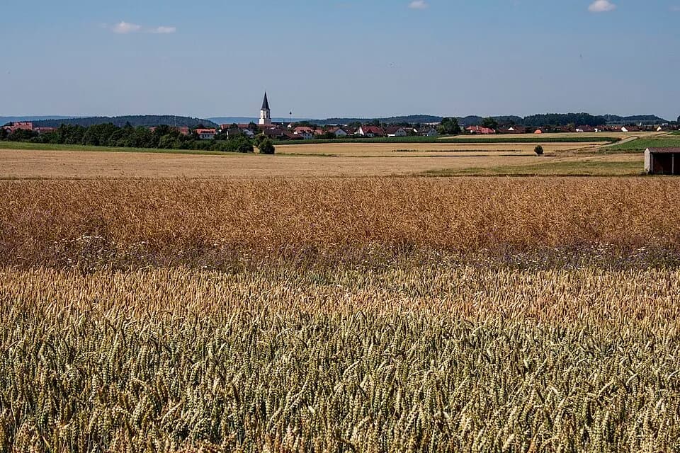 Berngau