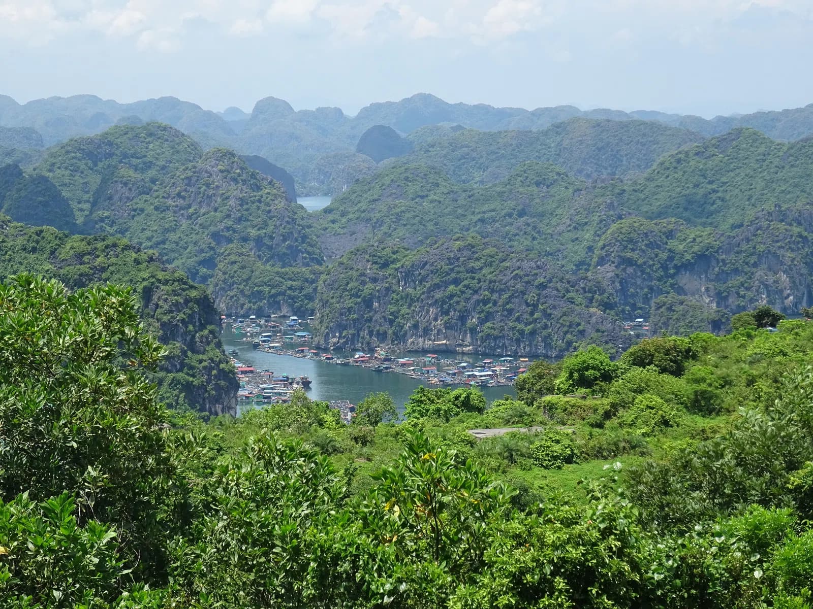 Cát Hải