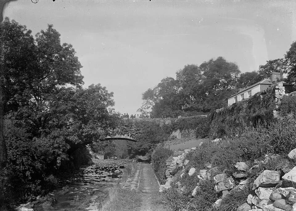 Cefn Coed y Cymer