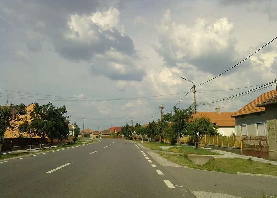 Petrifeld