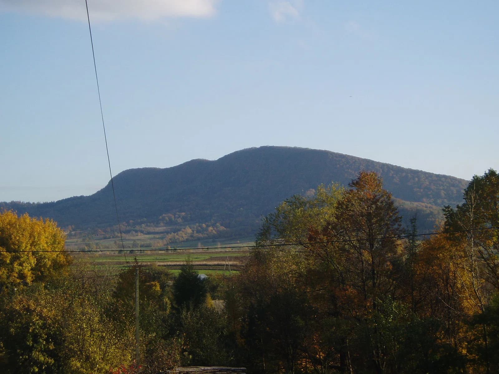 Cergowa