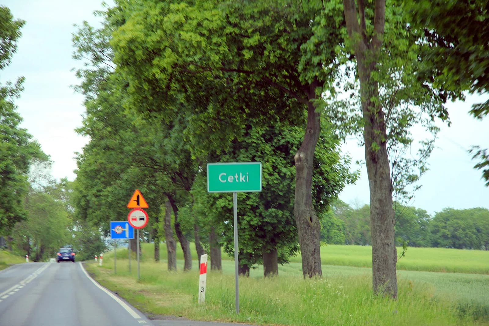 Cetki