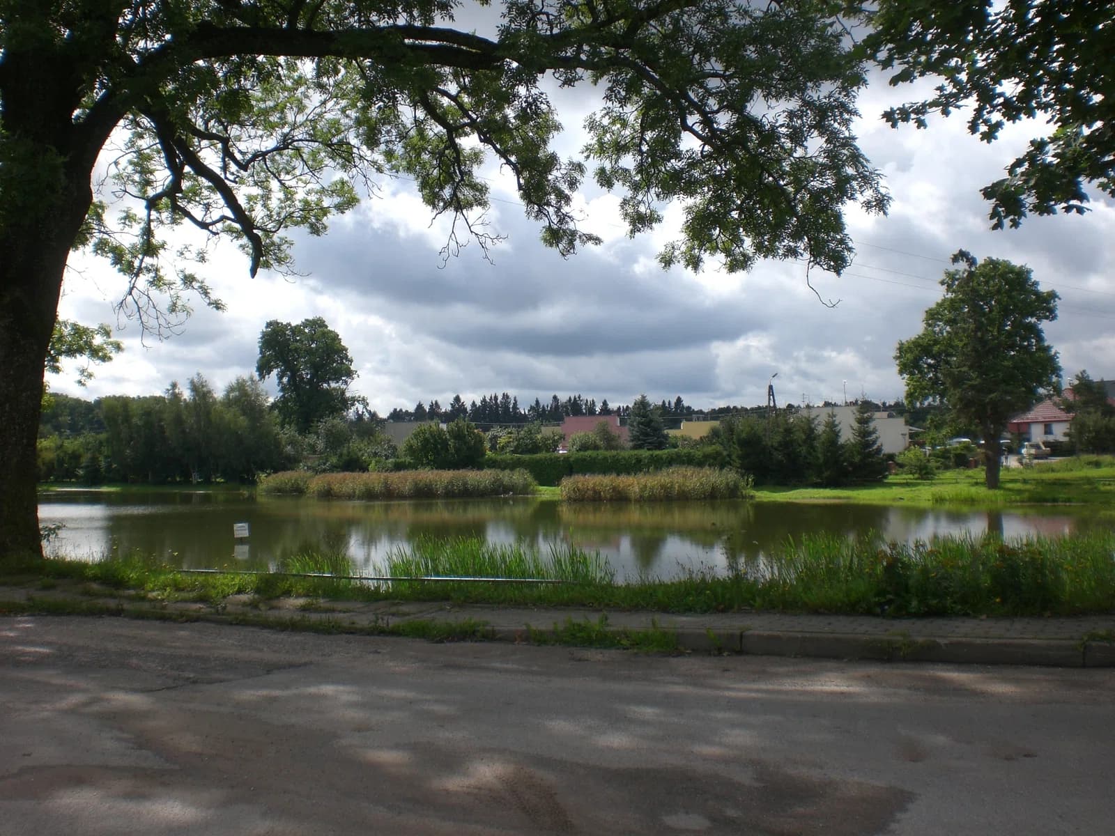 Sycewice
