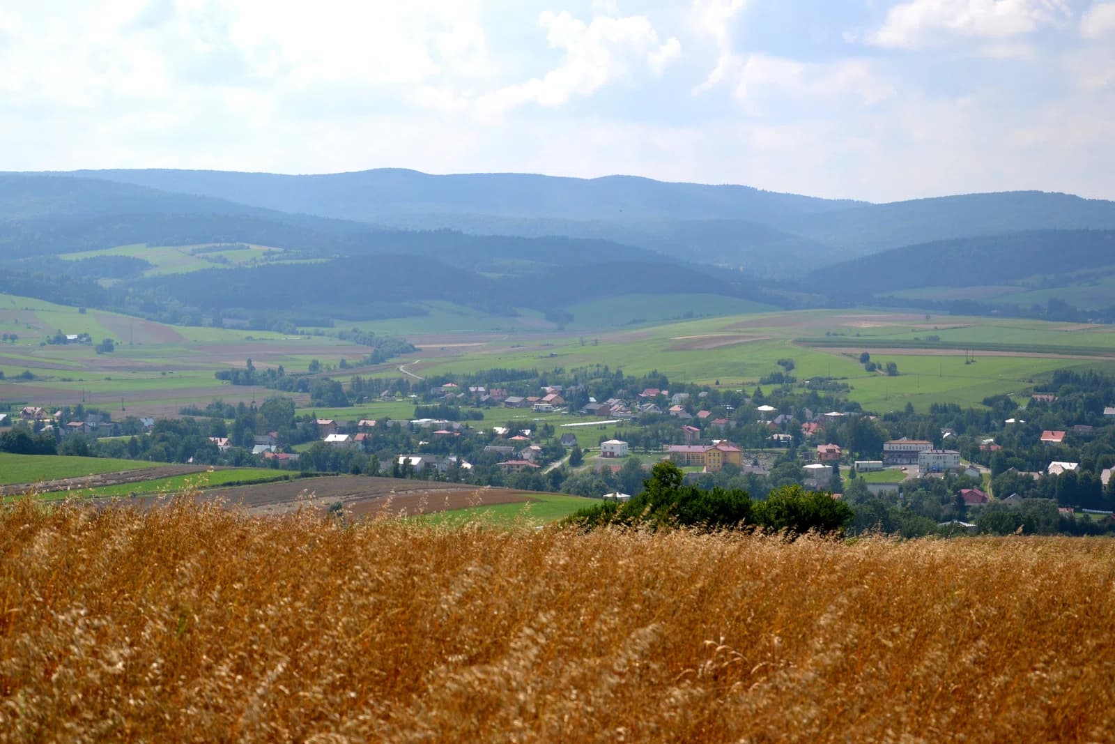 Nowotaniec