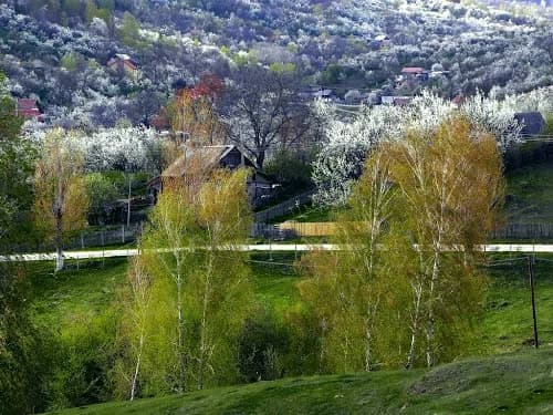 Pietroșița