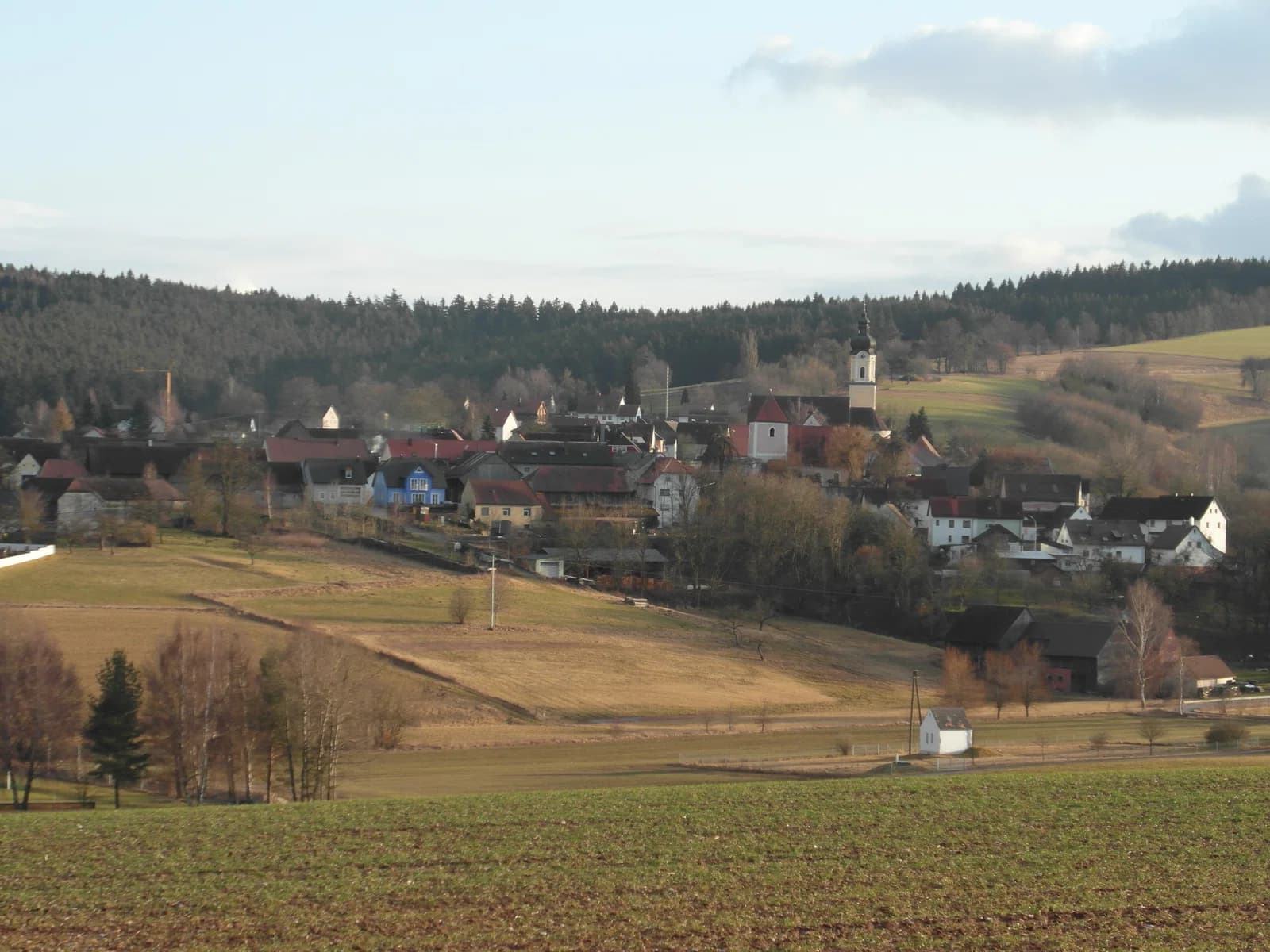 Kohlberg