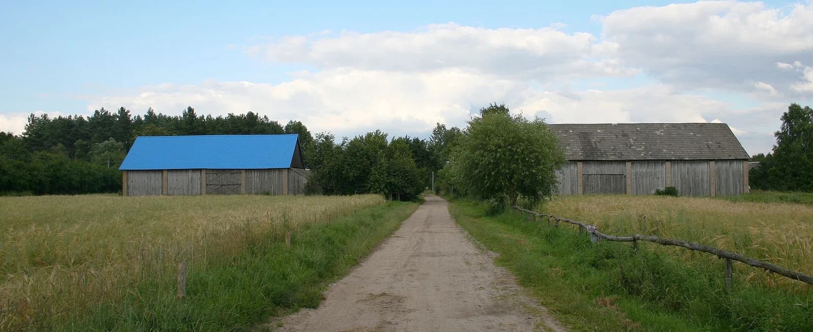 Chańki