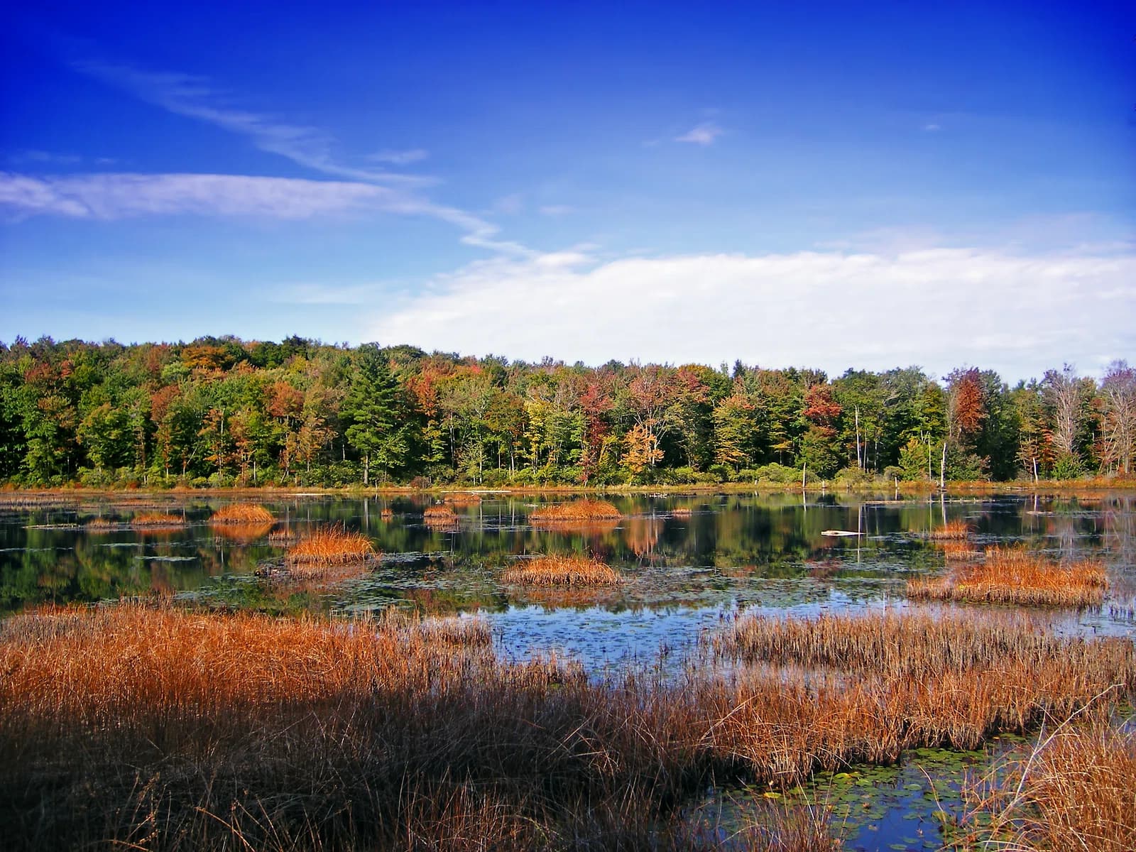 Cherry Ridge Township