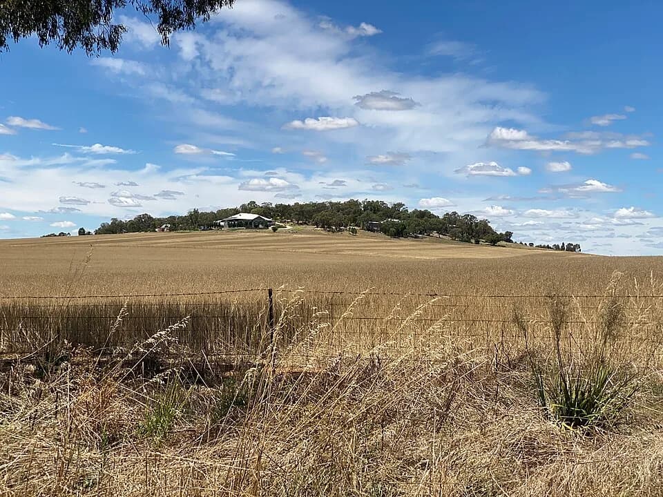 Brucedale