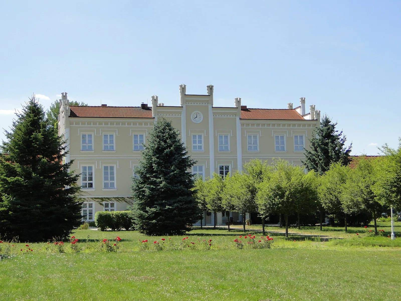 Knorrendorf
