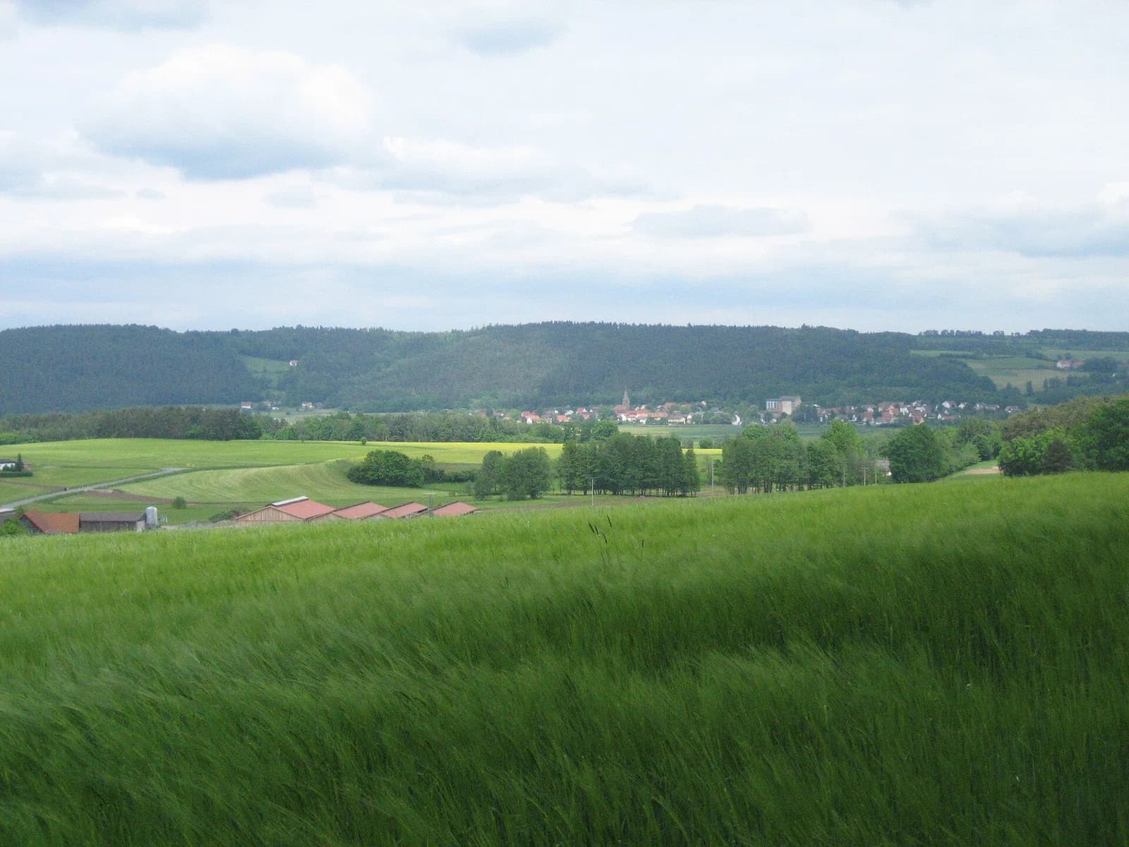 Harsdorf