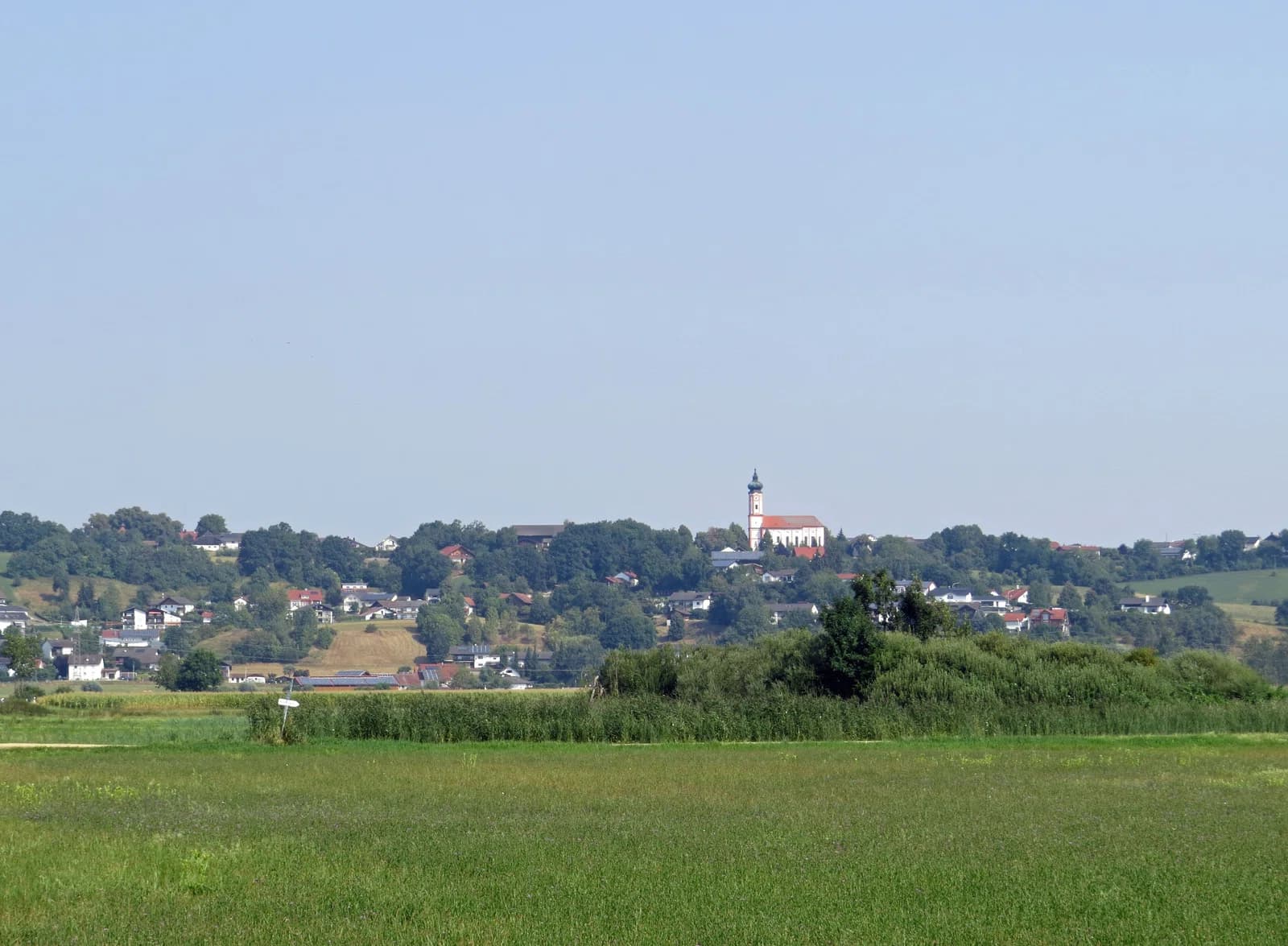 Moosthenning
