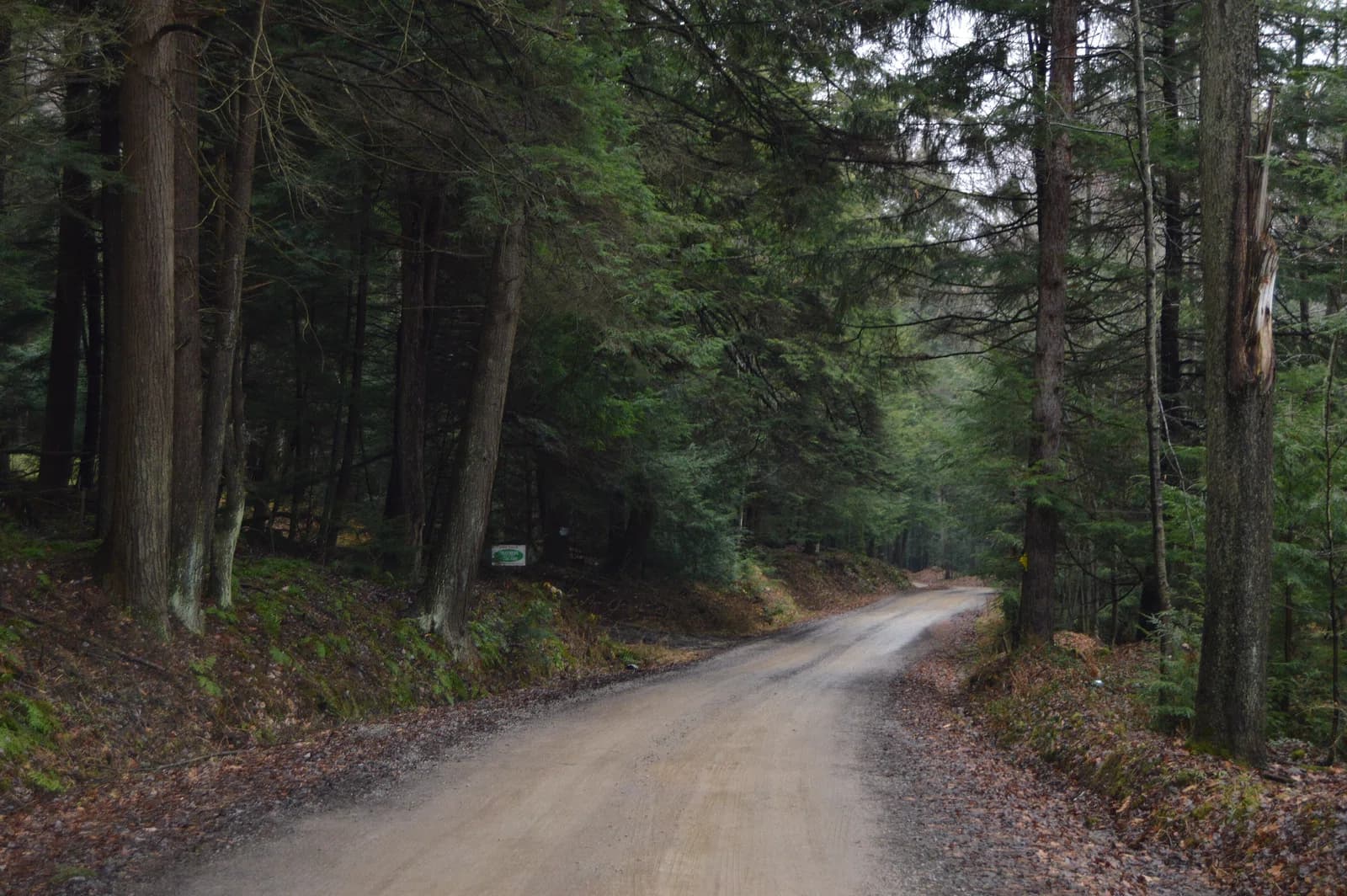 Clarion Township