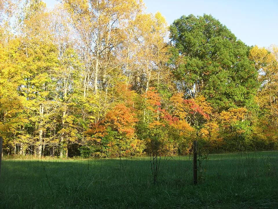 Lawrence County
