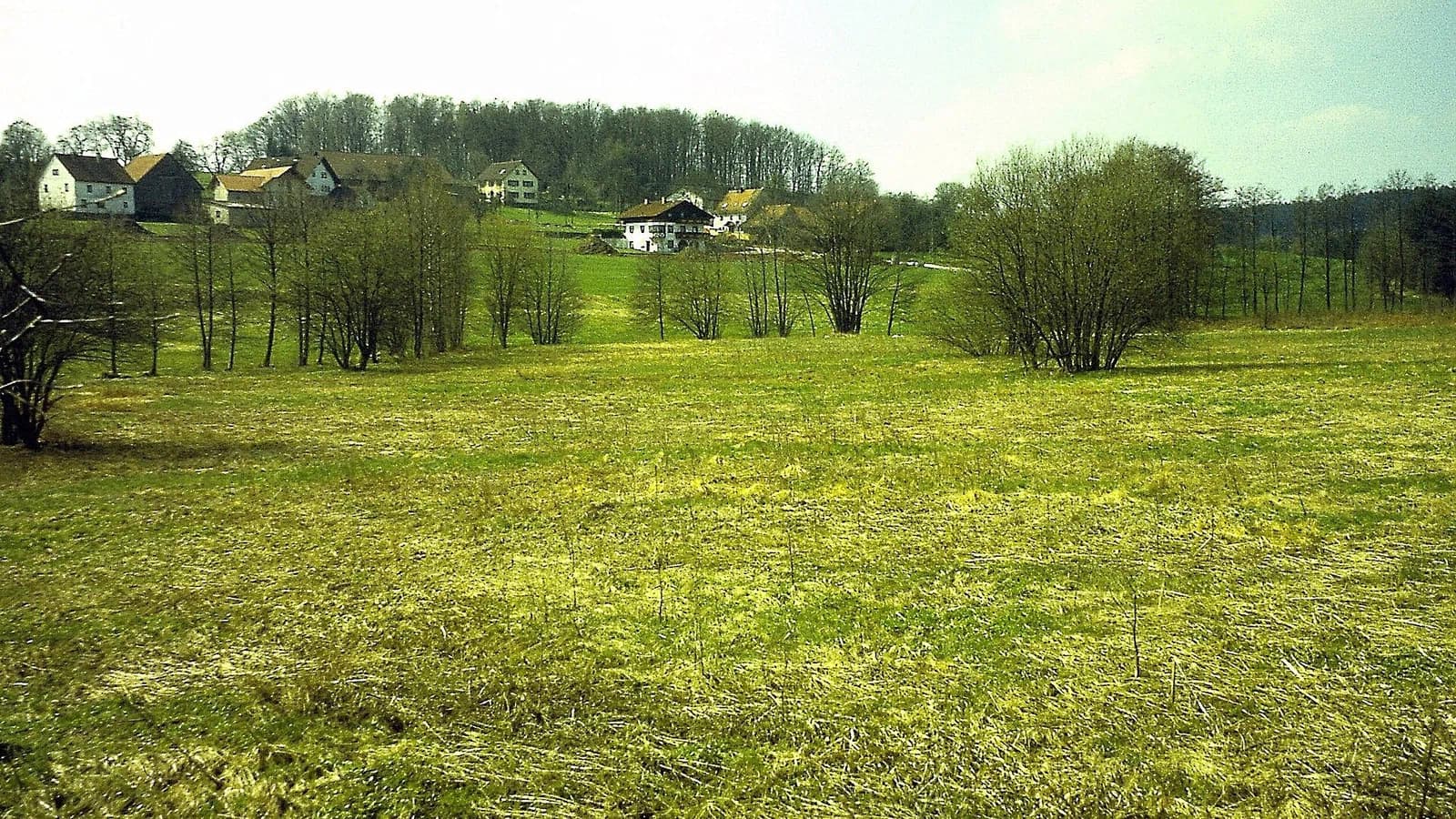 Langenelz