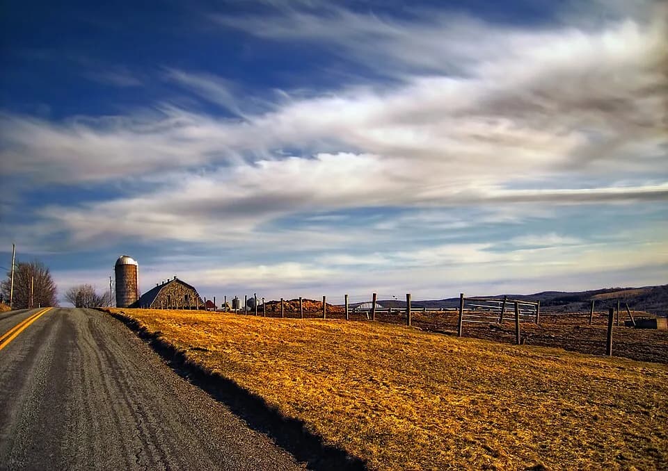 Clifford Township