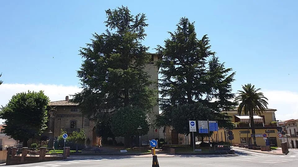 Cepagatti