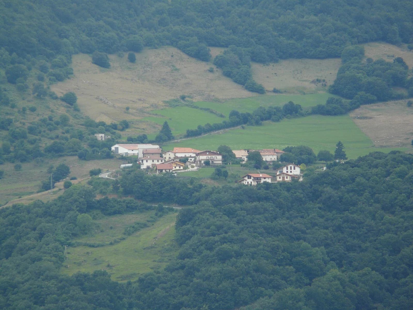 Goldaratz