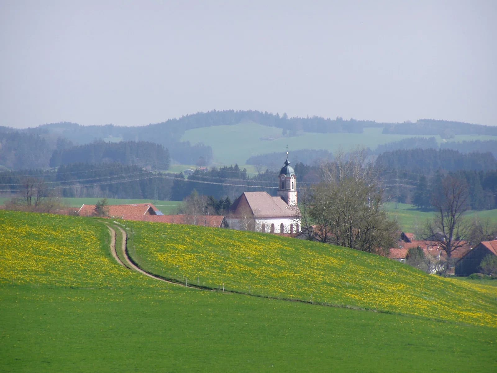 Ingenried