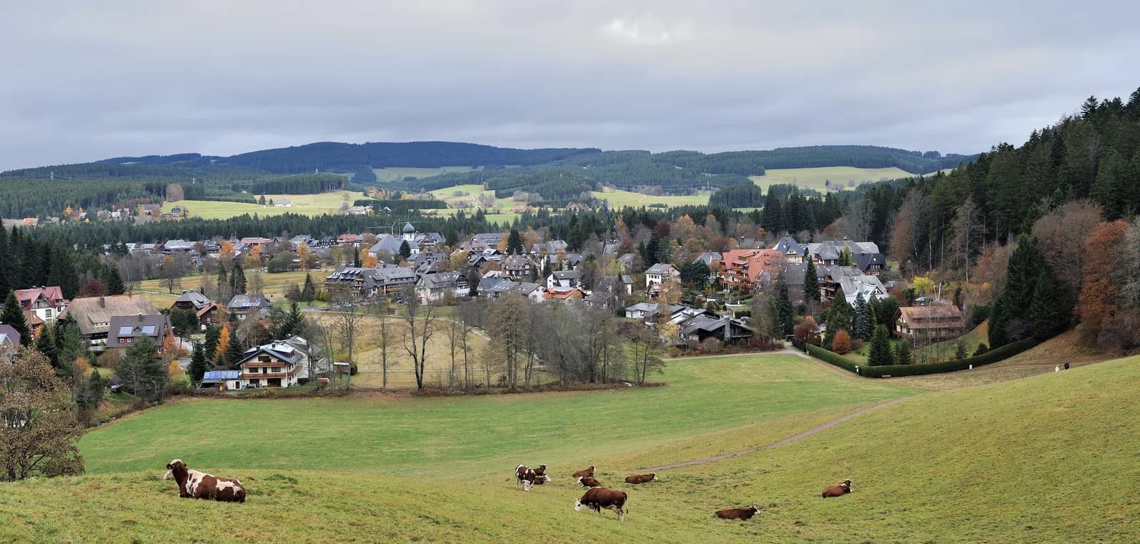 Hinterzarten
