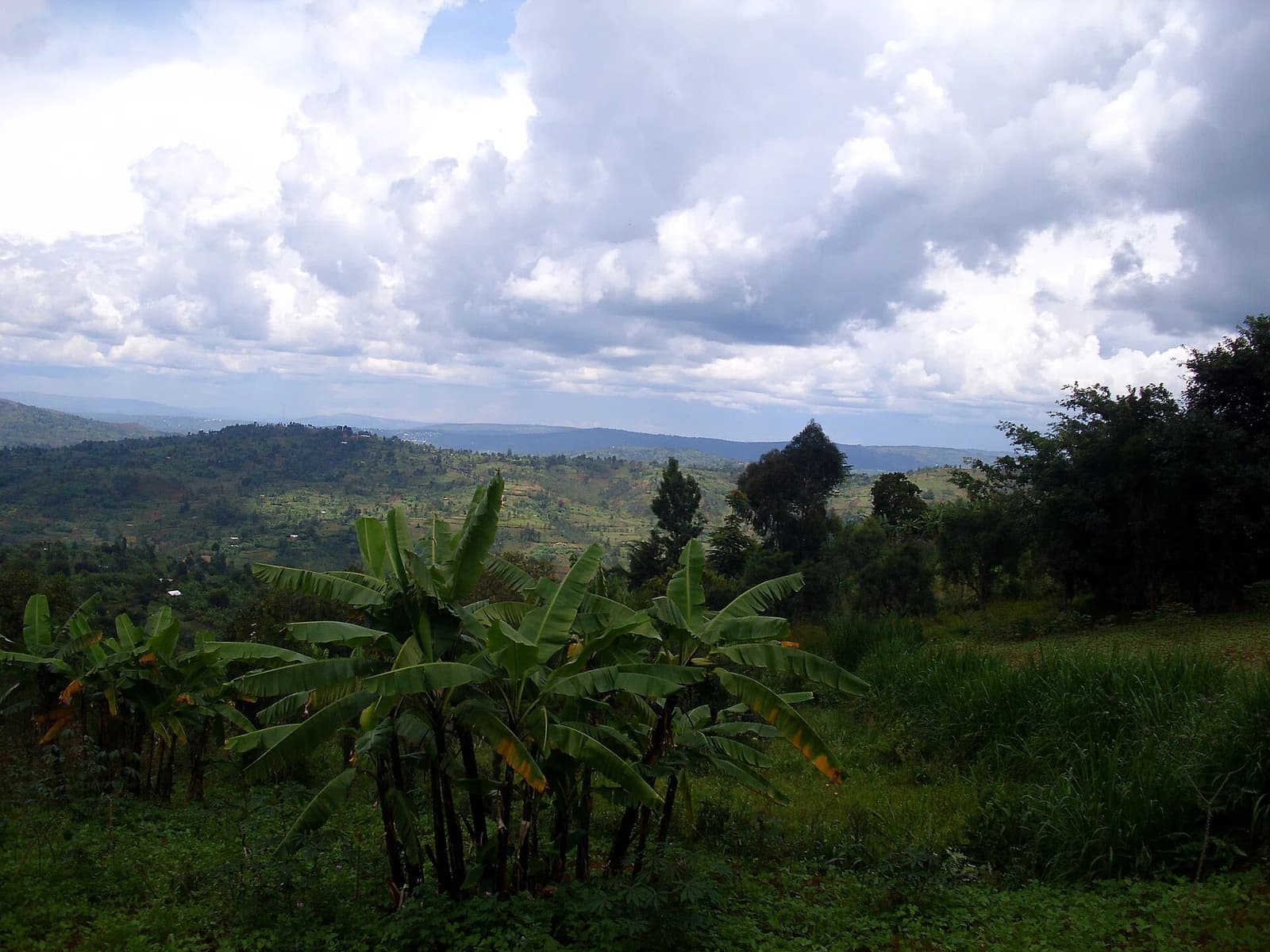 Commune of Rutegama