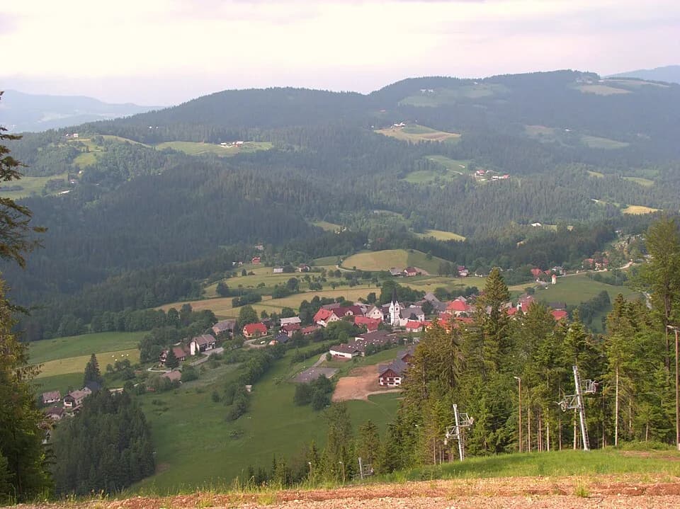 Ribnica na Pohorju
