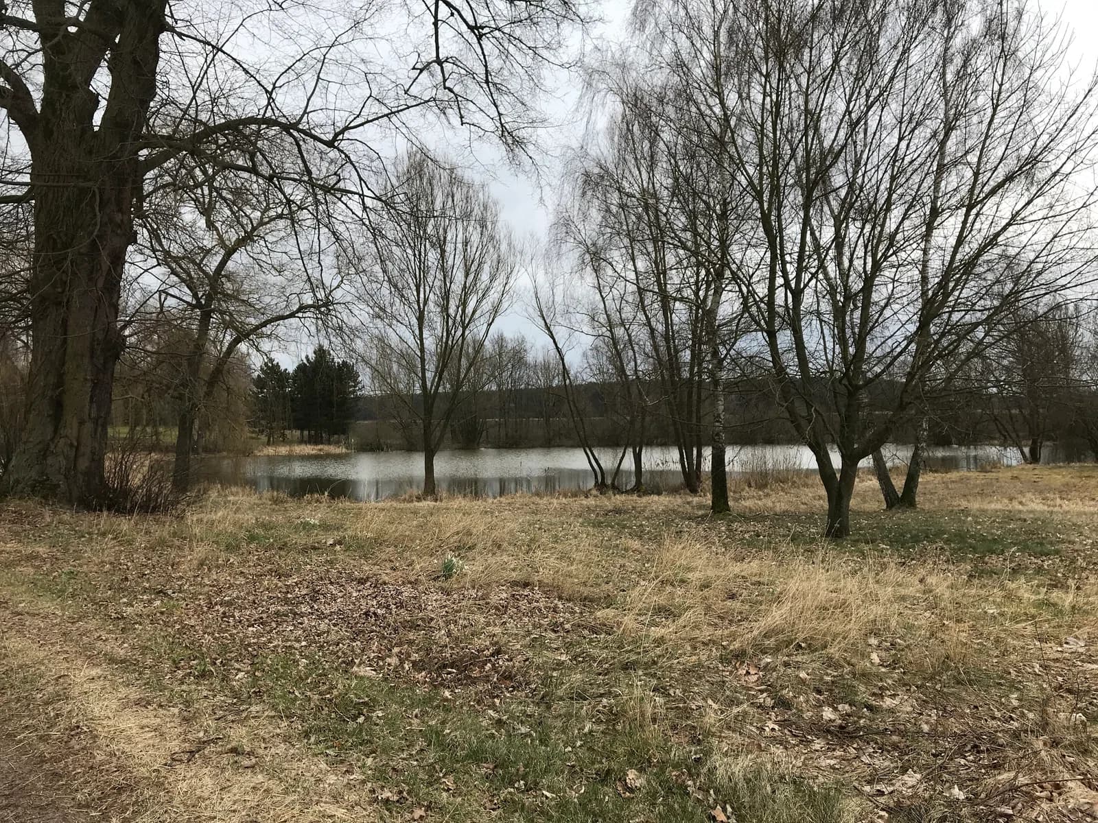 Hohenlobbese