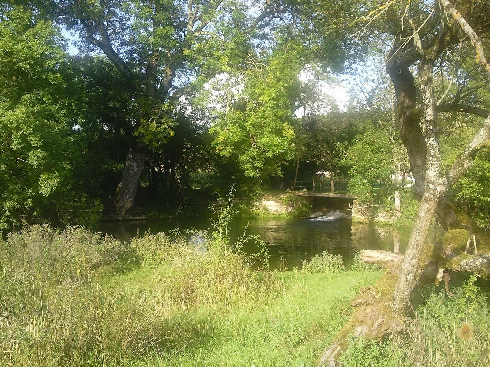 Doulaincourt-Saucourt