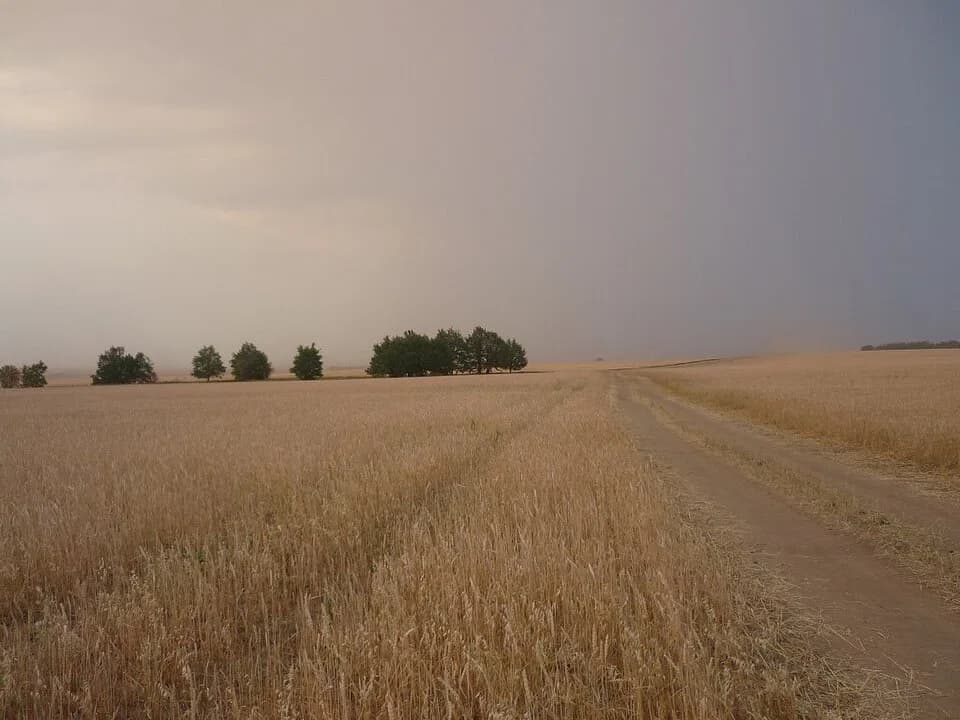 Kaybitsky District