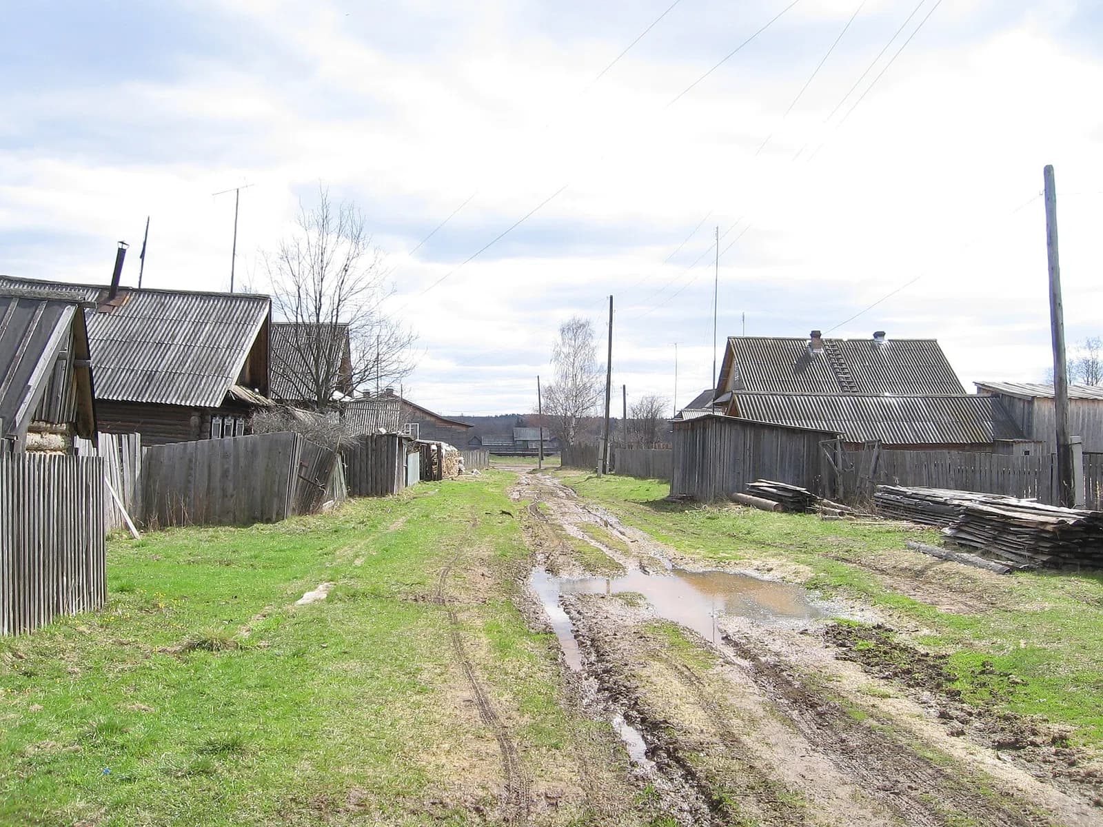 Vavozhsky District
