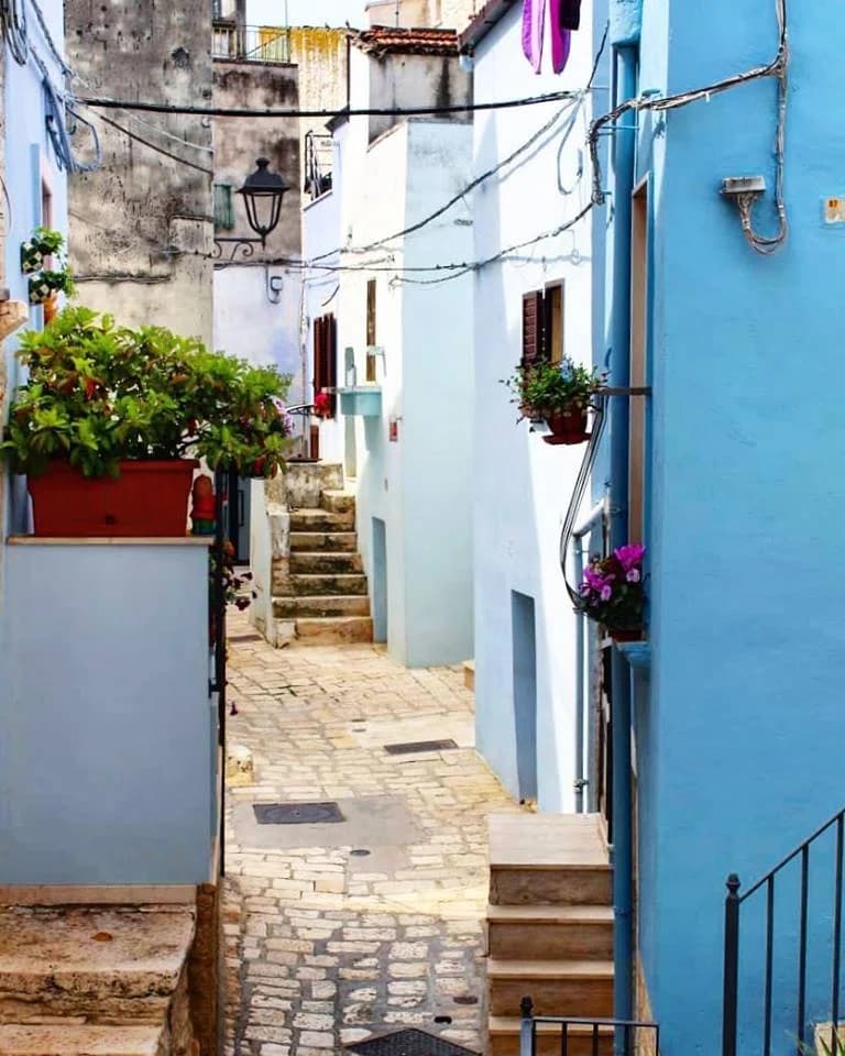 Casamassima