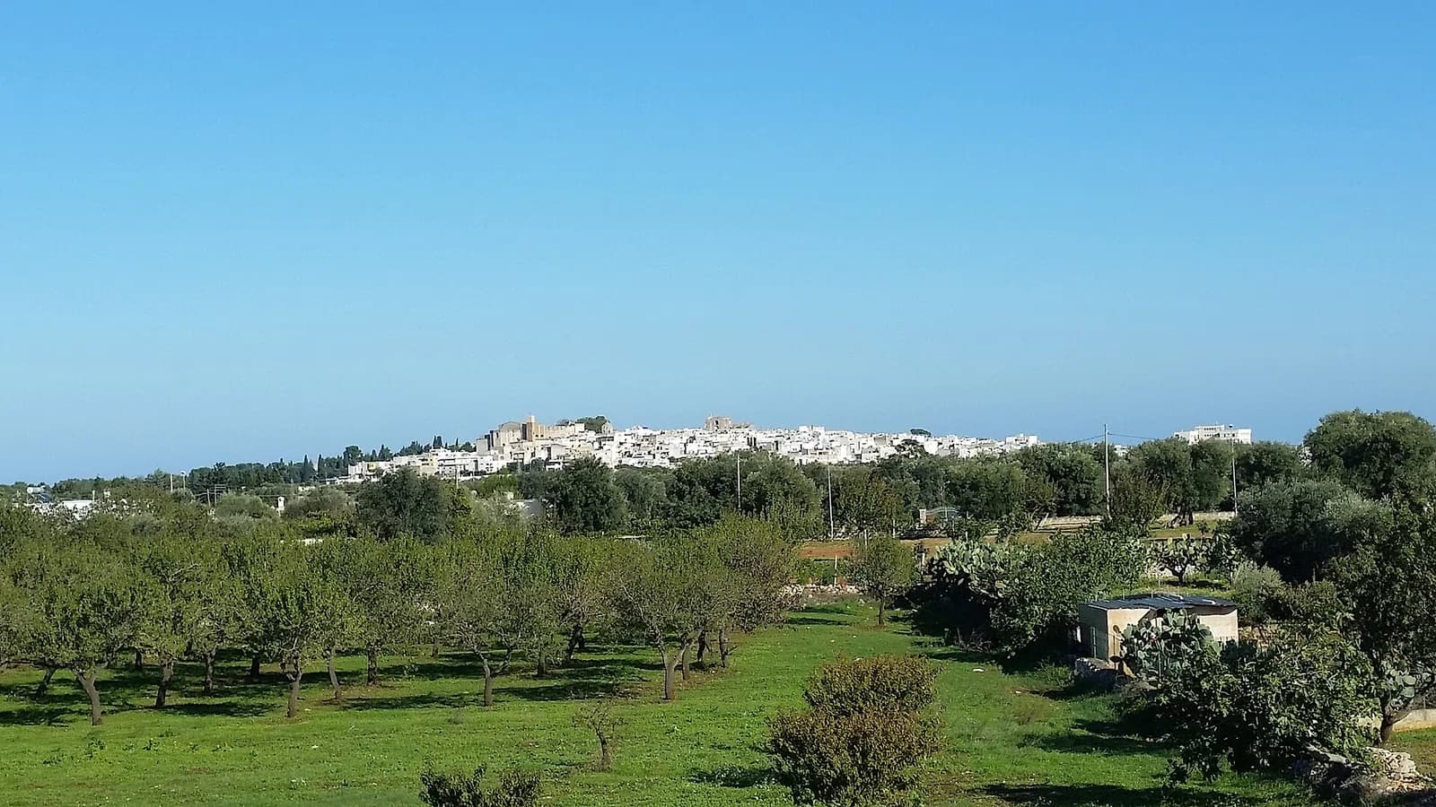 Carovigno