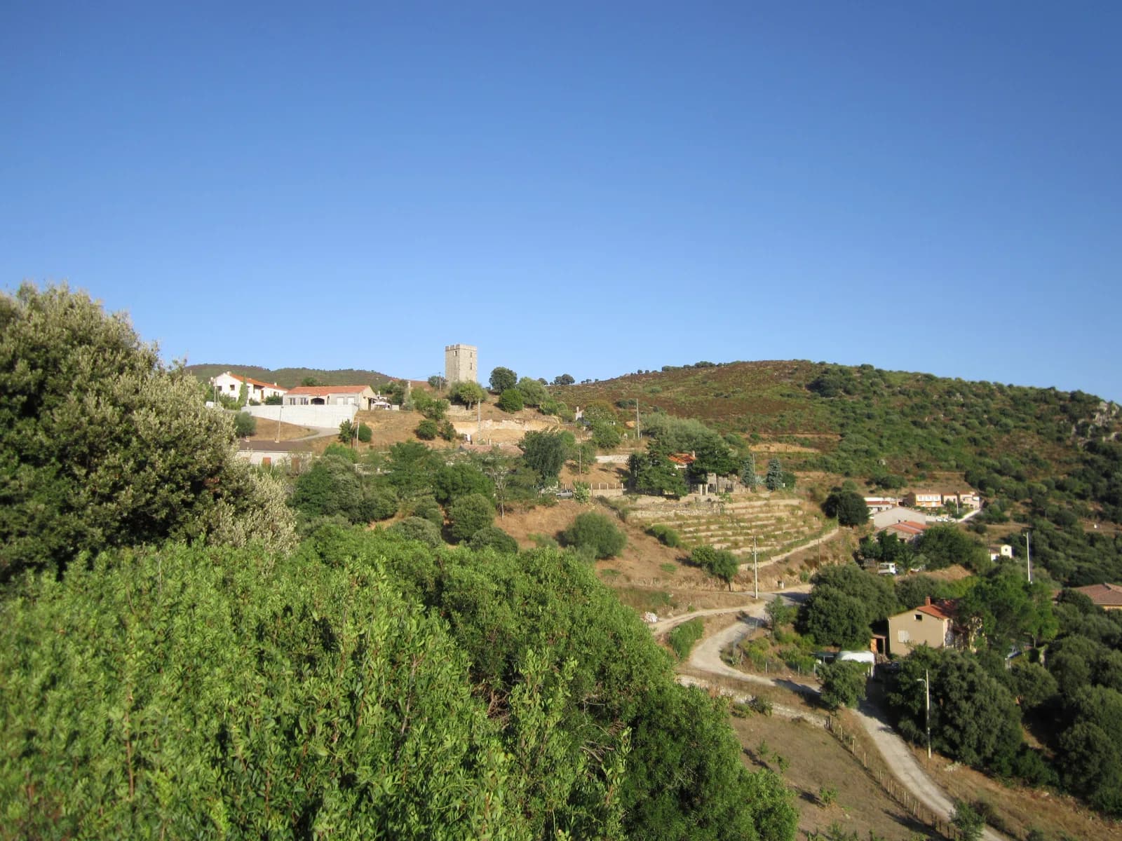 Arbellara
