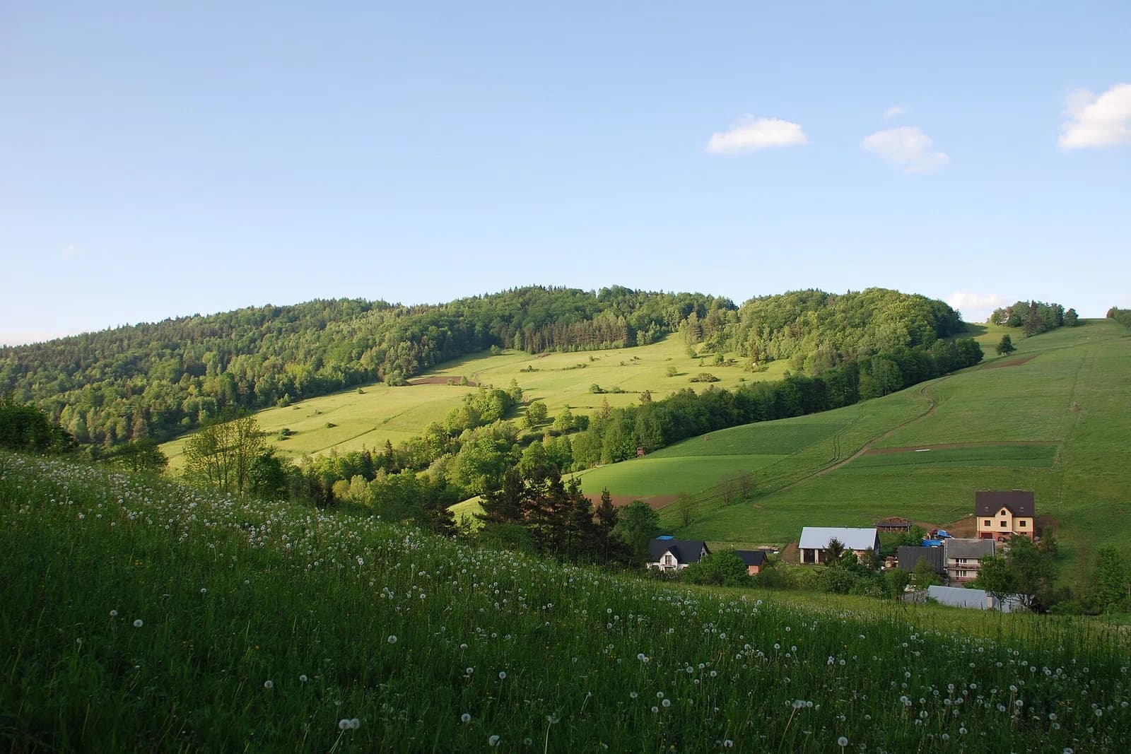 Wojkowa