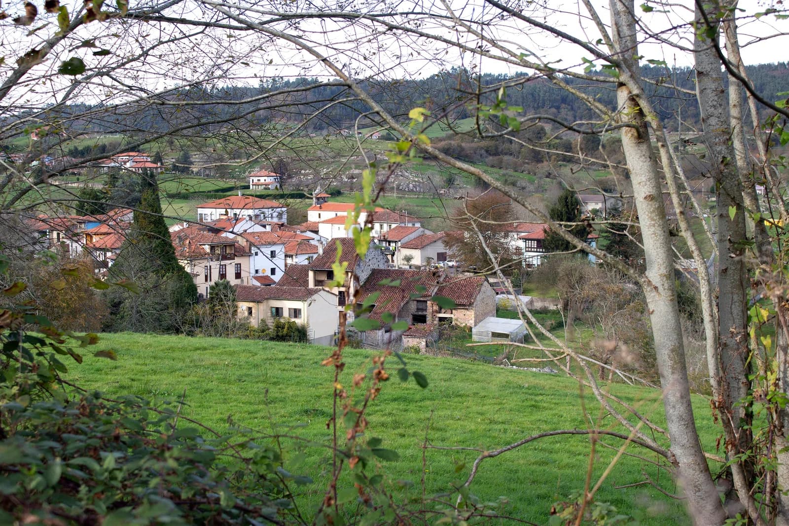 La Borbolla