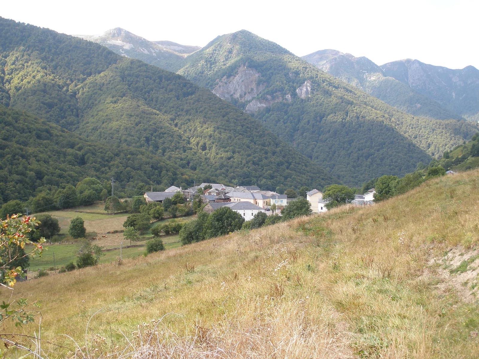 Monesteriu d'Ermu