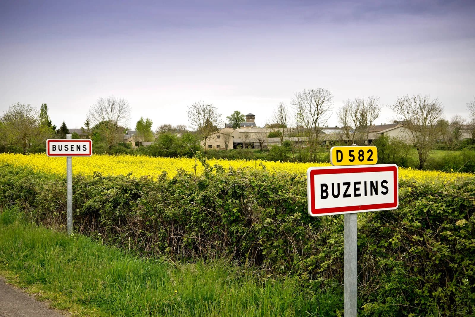 Buzeins
