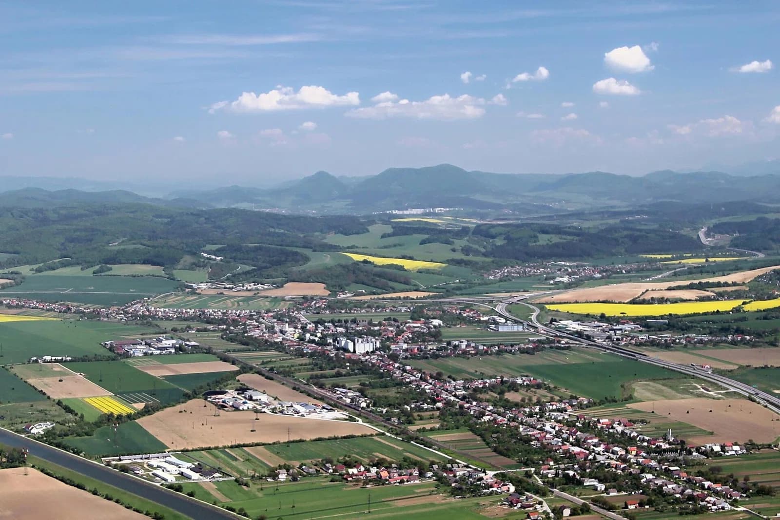 Beluša
