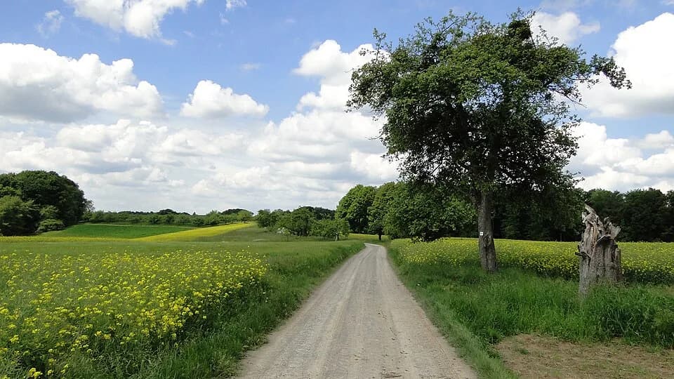 Leidersbach