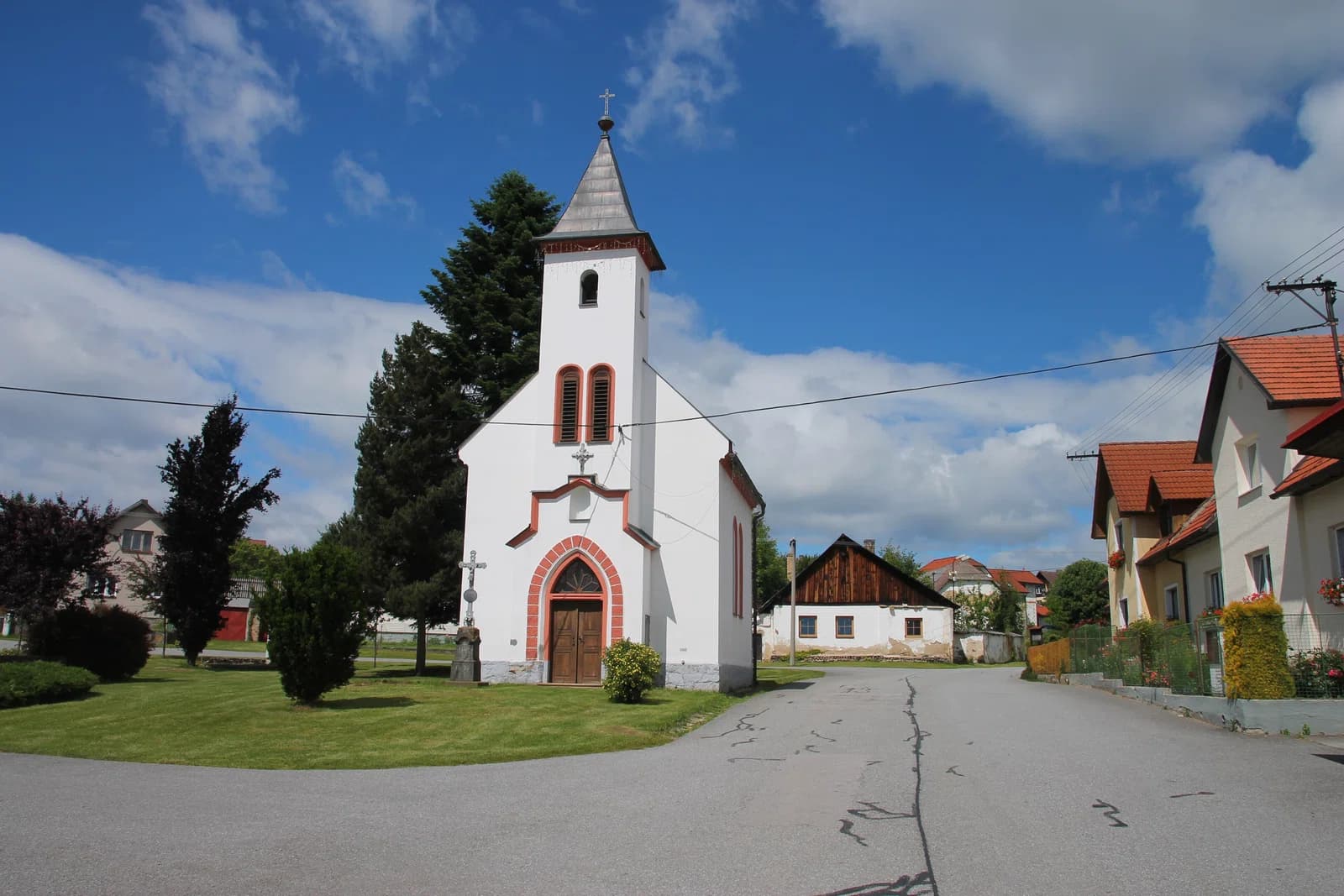 Buk pod Boubínem