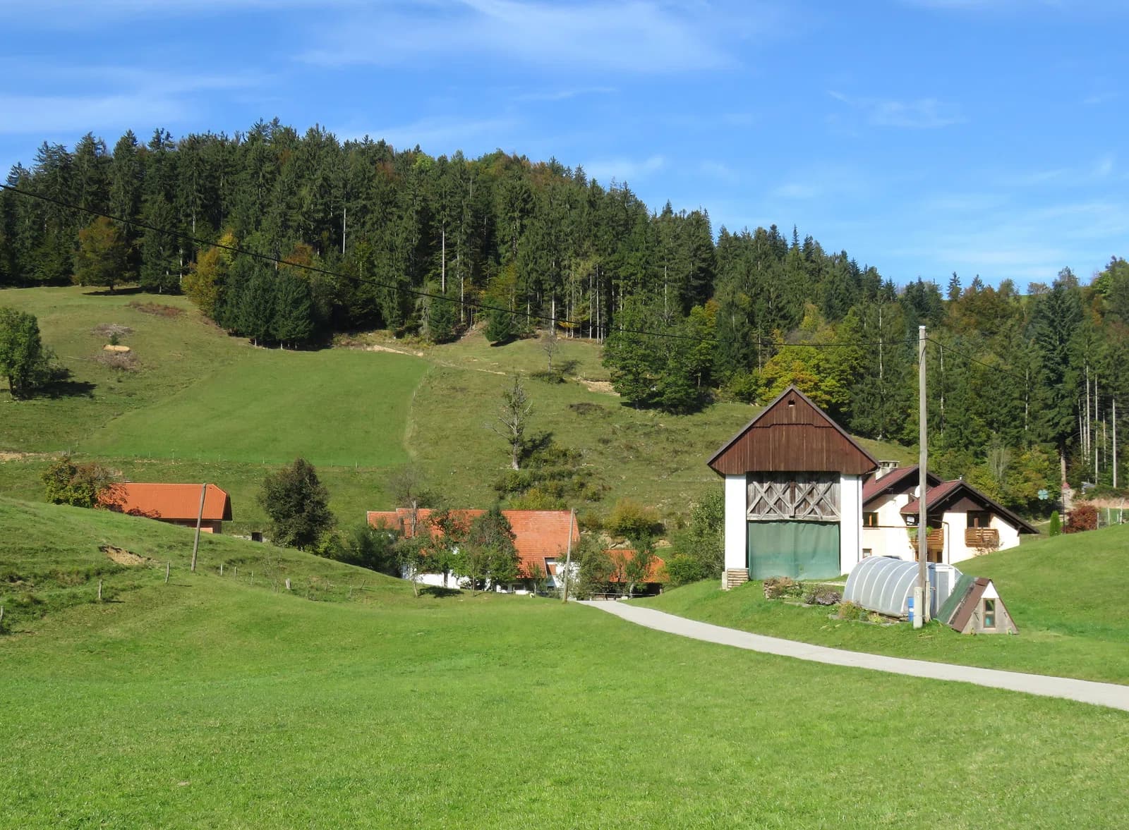 Jazne